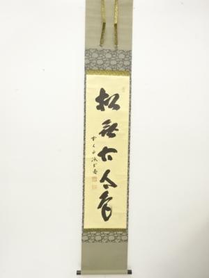 前大徳　藤井誡堂筆　「松無古今色」　一行書　肉筆紙本掛軸